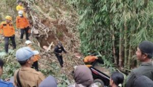 Pikap Terjun ke Jurang