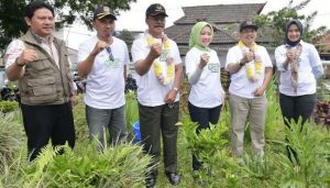 Tanam Pohon