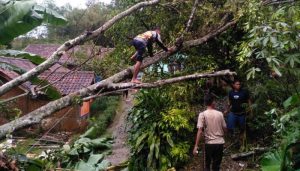 Angin Puting Beliung Sukabumi