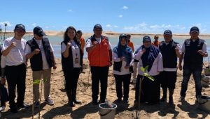 Tanam Mangrove