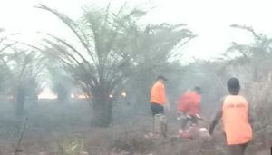 Kebakaran Kotawaringin