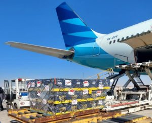 Bantuan untuk Suriah