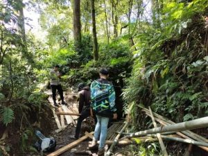 Hutan Kota