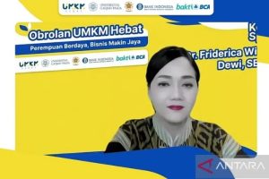 Friderica Widyasari Dewi