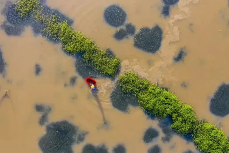 China Dikepung Banjir