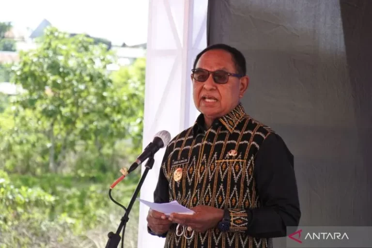 Wakil Gubernur Provinsi Nusa Tenggara Timur Josef Nae Soi