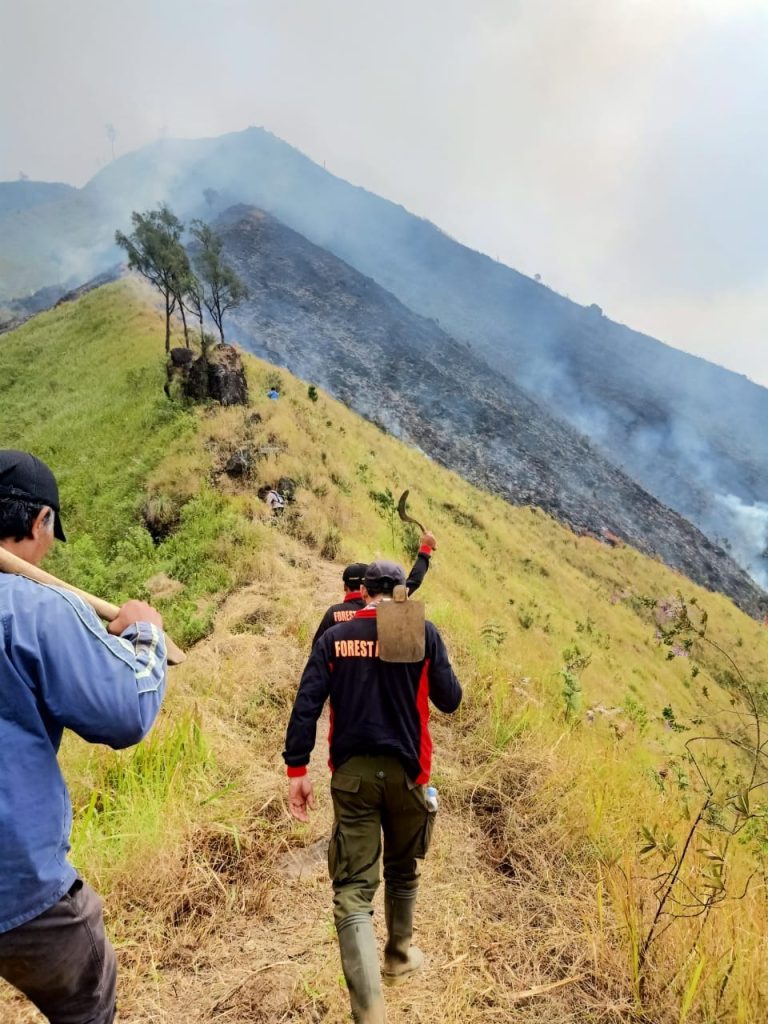 Gunung Arjuno
