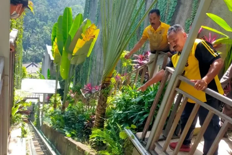 Lift Ubud Bali
