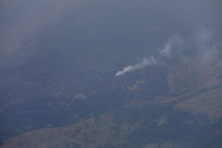 Karhutla Gunung Arjuno