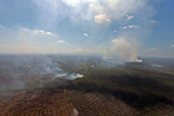 Karhutla Kalimantan Selatan