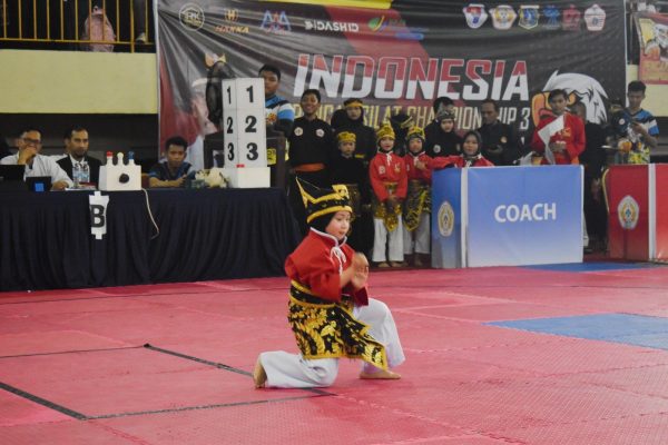 Pencak Silat