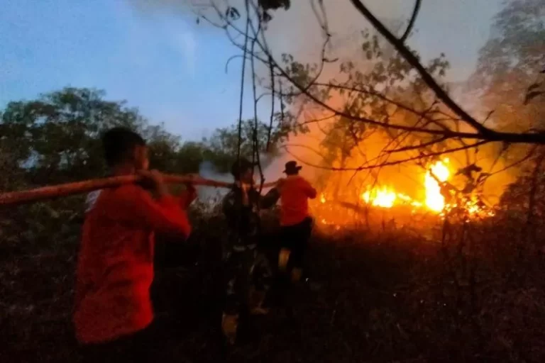Titik Panas Kaltim