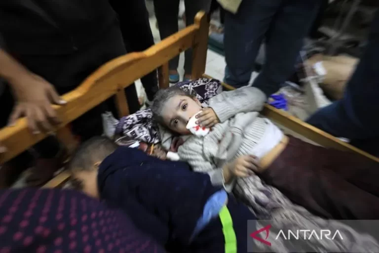 Anak Palestina