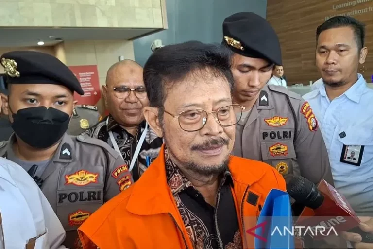 Mantan Menteri Pertanian Syahrul Yasin Limpo