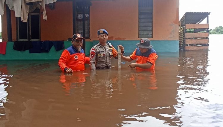 95 Jiwa Mengungsi Akibat Banjir Di Kabupaten Sintang - Transindonesia.co