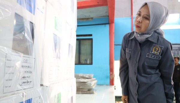 Ineu Sundari Purwadewi