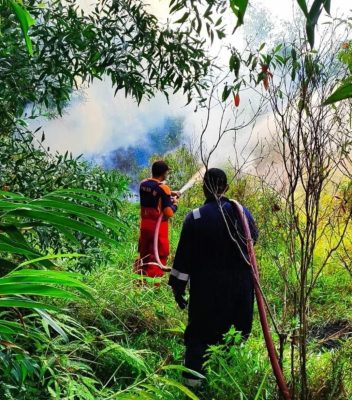 Kebakaran Hutan Karimun