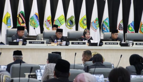 Ineu Sundari Purwadewi