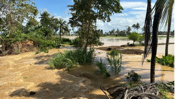 Wajo Banjir
