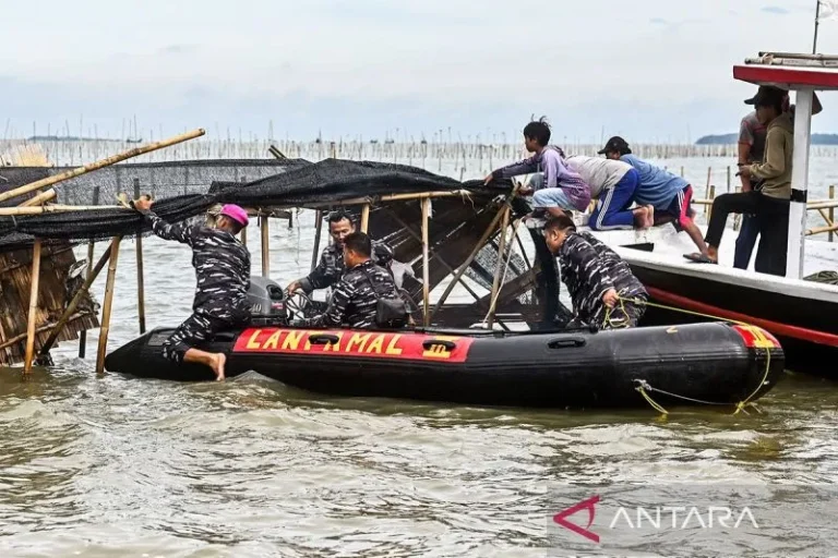 Pencabutan Pagar Laut