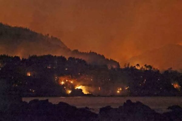 Kebakaran Hutan Jepang