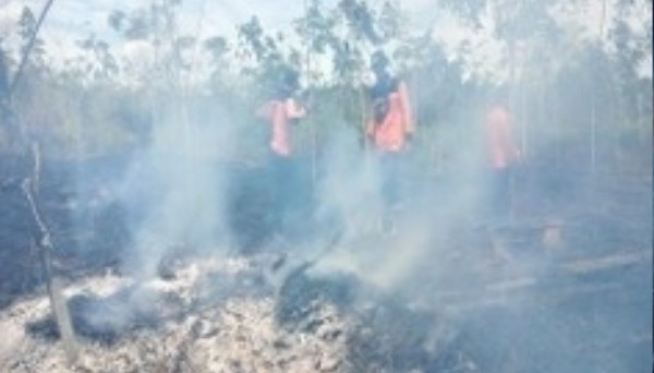 Kebakaran Hutan Kalimantan Tengah