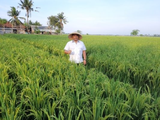 Syahrir Perda Pertanian