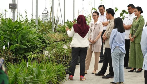 Taman Sains Teknologi Herbal