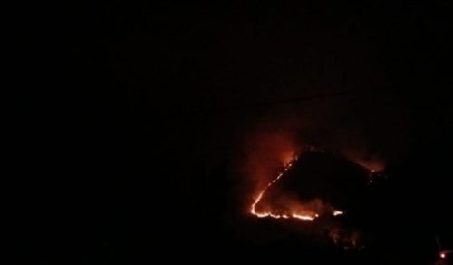 Hutan Samosir Terbakar