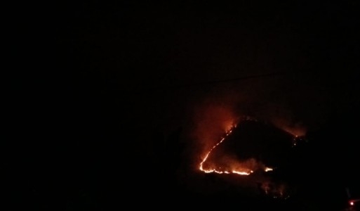 Hutan Samosir Terbakar