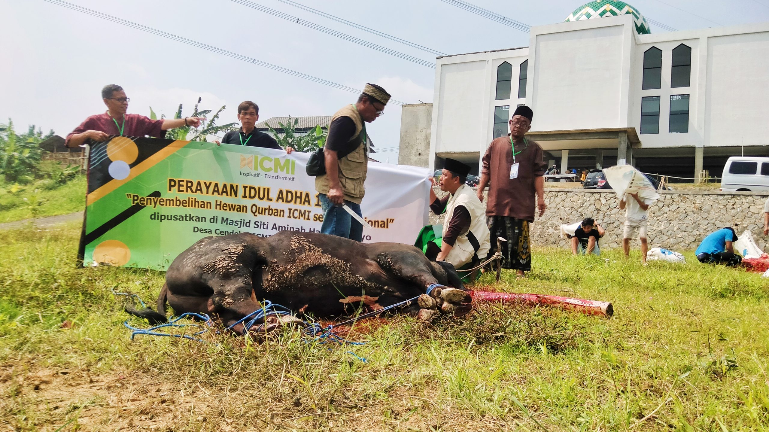 ICMI Qurban Serentak