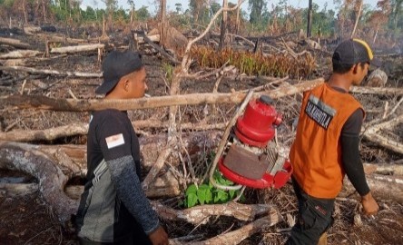 Hutan Aceh Terbakar
