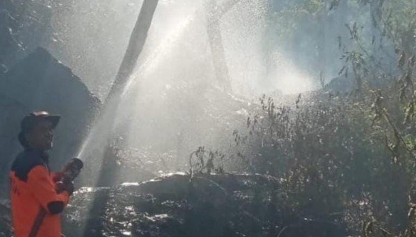 Kebakaran Hutan Tanah Datar