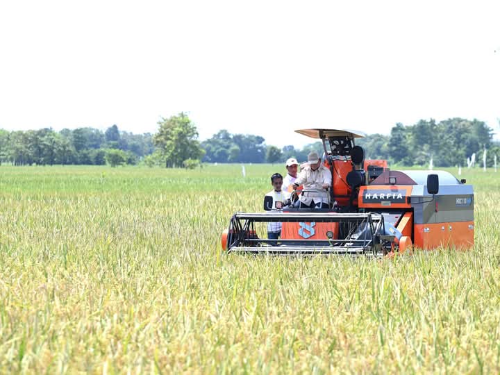 Presiden Panen Raya Serentak