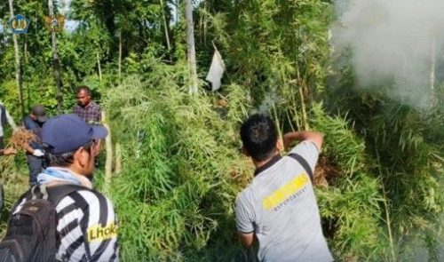 Ganja Aceh Utara
