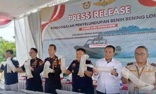 Penyeludupan Lobster