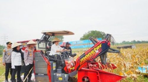 Titiek Soeharto Panen Raya Jagung di Bekasi