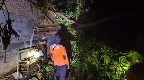 Rumah Hancur dan Kios Roboh, Cuaca Ekstrem Mengamuk di Jawa hingga Sulawesi