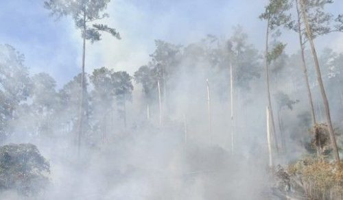 Indonesia Siaga Cuaca Ekstrem: Karhutla Simalungun Padam, 43 Rumah di Kupang Rusak