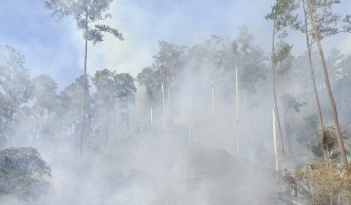 Indonesia Siaga Cuaca Ekstrem: Karhutla Simalungun Padam, 43 Rumah di Kupang Rusak