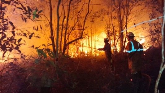 Hutan Terbakar