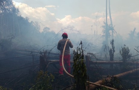 Kebakaran Hutan Kalimantan