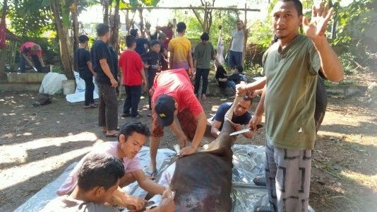 Penyembelihan Kurban
