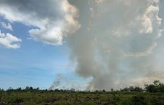Kebakaran hutan Aceh