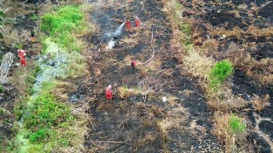 Foto Udara dampak kebakaran hutan dan lahan (karhutla) yang terjadi di Kabupaten Aceh Barat, Provinsi Aceh.
