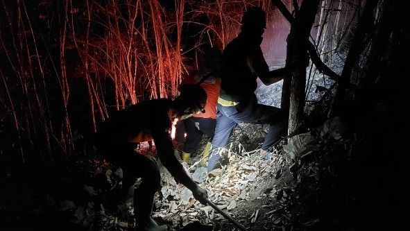Kebakaran Hutan