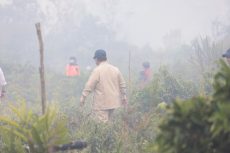 Prabowo pantau Karhutla Kalimantan