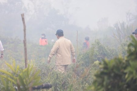 Prabowo pantau Karhutla Kalimantan