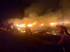 hutan Bromo terbakar