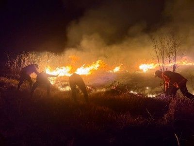 hutan Bromo terbakar